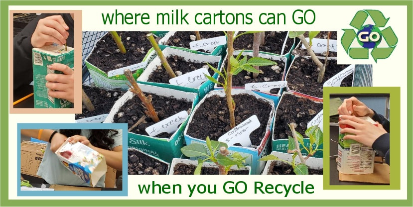 Image.Where Milk Cartons go when you recycle at GO